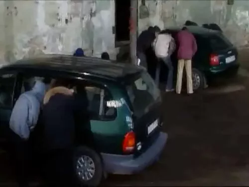 راعية البقر تمارس ال ...